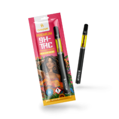 9H-THC Pen+Kartusche Permanent Marker 95%