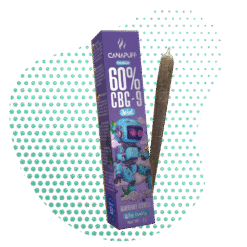 CBG9 Joint Blaubeere Cookies 60% 2g