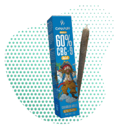 CBG9 Joint Caribbean Breeze 60%