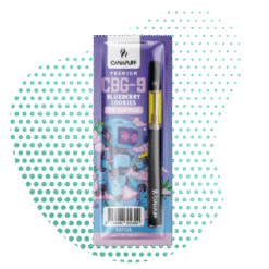 CBG9 Pen+Kartusche Blaubeere Cookies 79%