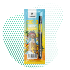 CBG9 Pen+Kartusche Caribbean Breeze 79%