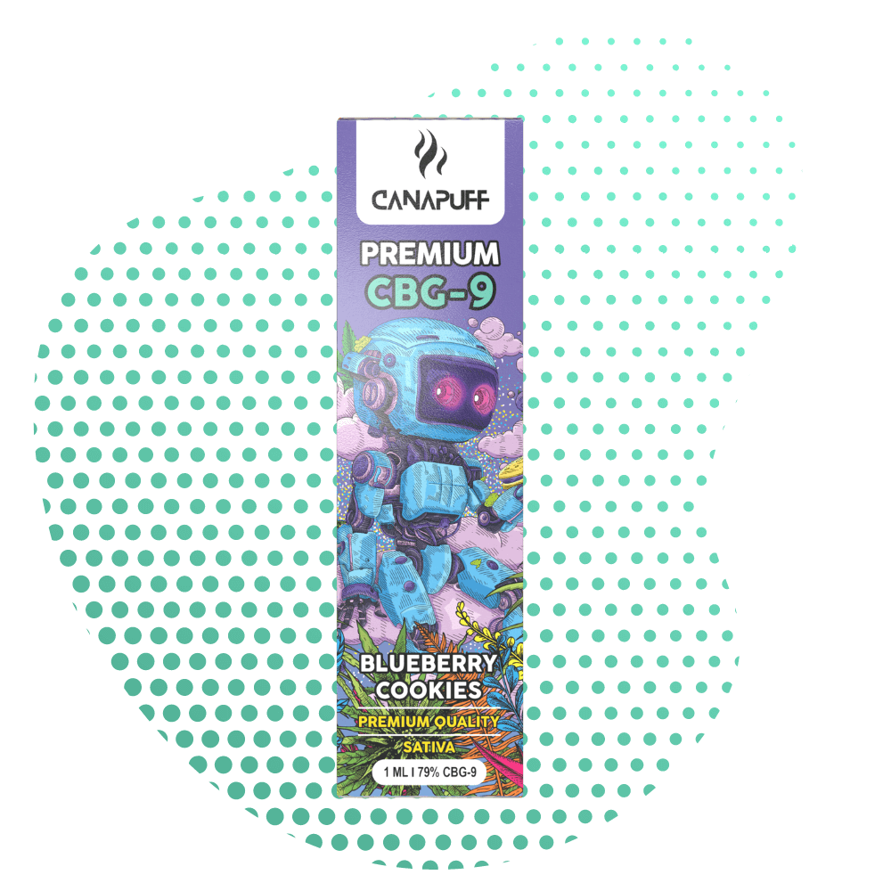 CBG9 Vape Blueberry Cookie 79% 1ml