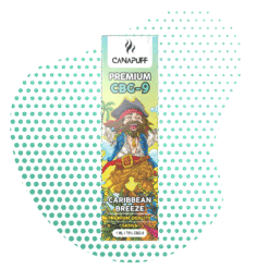 CBG9 Vape Caribbean Breeze 79% 1ml