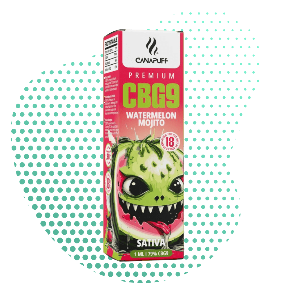 CBG9 Vape Watermelon Mojito 79 % 1 ml