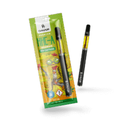 HHC-A Pen+Kartusche Gelonade 95 %