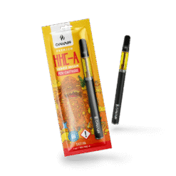 HHC-A Pen+Kartusche Tangie Dream 95 %