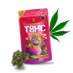 T8HC Blüten Gorilla Kush 99%