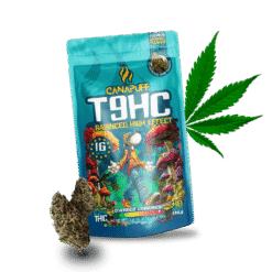 T9HC Blüten Balanced 99%
