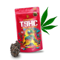 T9HC Blüten Euforic 99%
