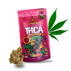 THCA Blüten Jungle Monkey 99%