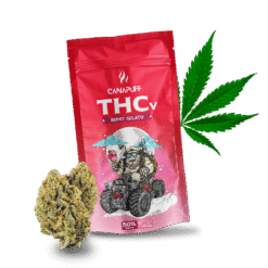 THCv Blüten Berry Gelato 50%