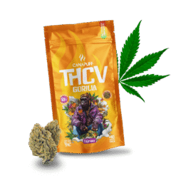 THCv Blüten Gorilla 69%