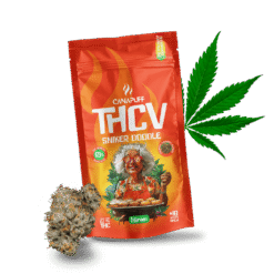 THCv Blüten Sniker Doodle 69%
