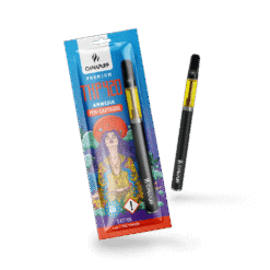 THP420 Pen+Kartusche Amnesia 79%