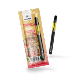 THP420 Pen+Kartusche GSC 79%